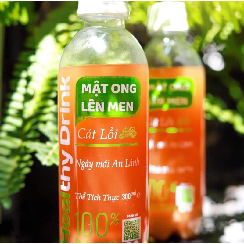 Molm CÁT LỒI - molm CỦ LỌC MÁU