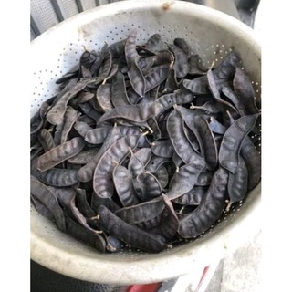 BỒ KẾT KHÔ 100  gam ( Bồ Kết Lép Xông Nhà )
