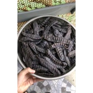 BỒ KẾT KHÔ 100  gam ( Bồ Kết Lép Xông Nhà )