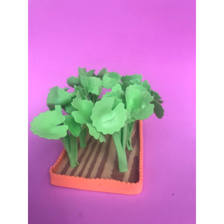 10 vỉ rau củ nỉ
