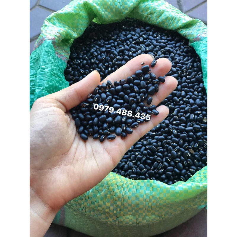 Đậu đen xanh lòng hạt nhỏ - của người dân bản địa Tây Nguyên