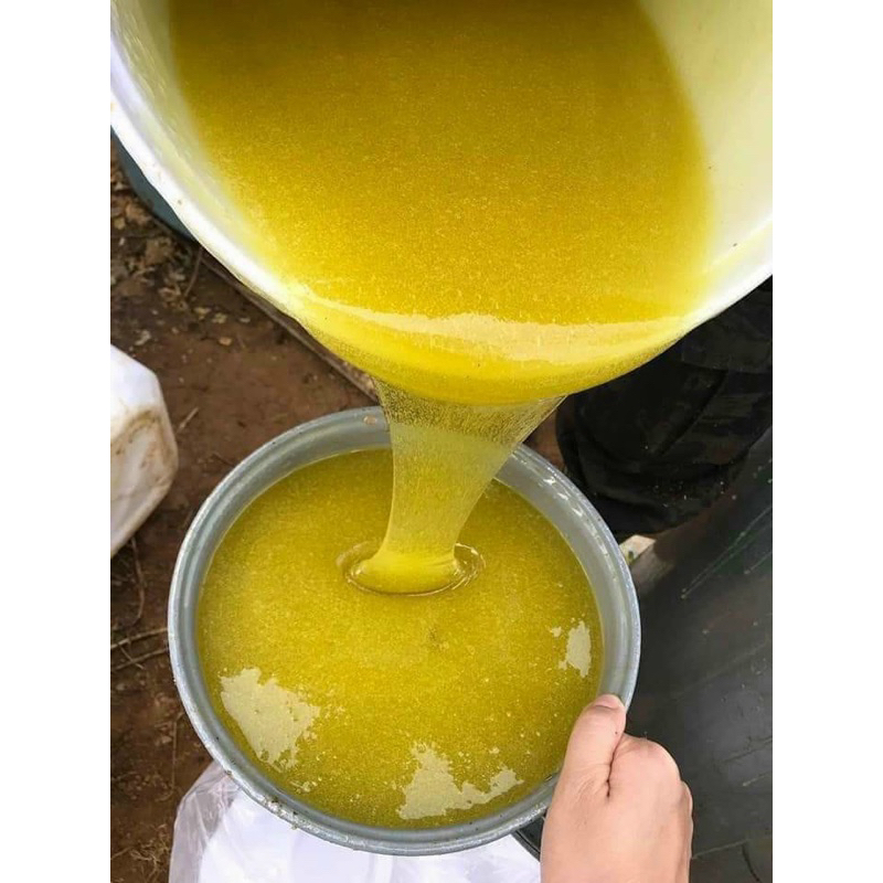 MẬT ONG BẠC HÀ  NGUYÊN CHẤT HÀ GIANG