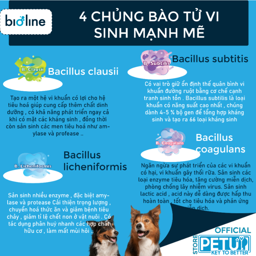 Men vi sinh Bioline cho chó mèo 4 trong 1 siêu tiết kiệm