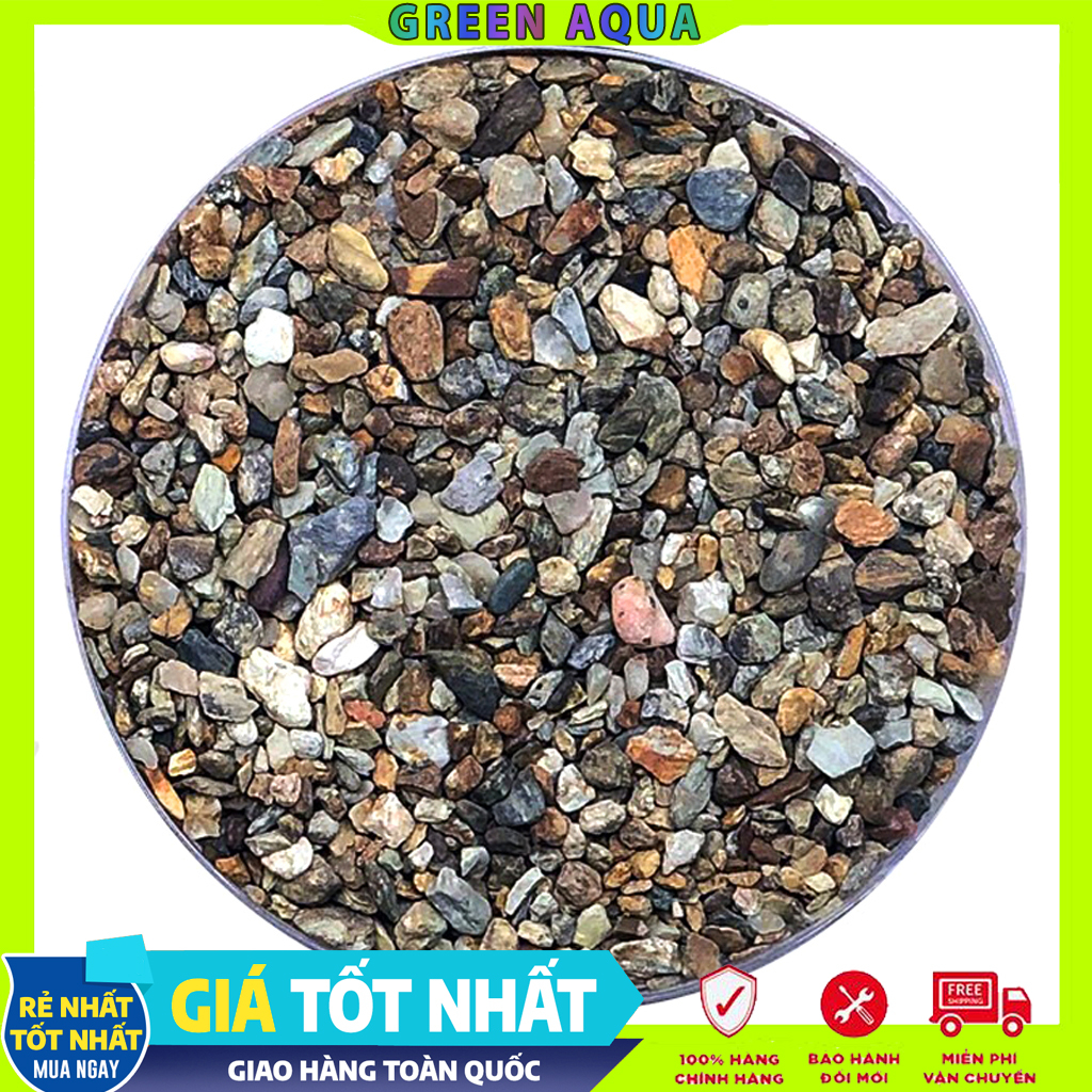 FEMOLAY - Natural Stream Sand & Gravel | Cát, sạn, sỏi suối tự nhiên trãi nền trang trí hồ cá thủy sinh