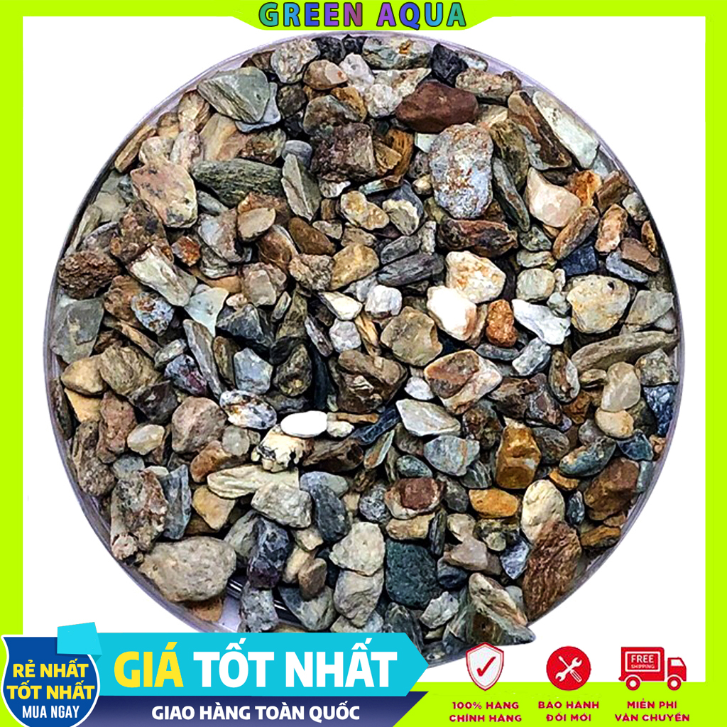 FEMOLAY - Natural Stream Sand & Gravel | Cát, sạn, sỏi suối tự nhiên trãi nền trang trí hồ cá thủy sinh