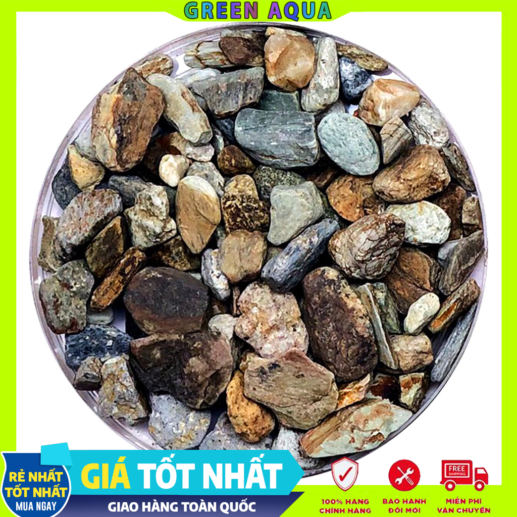 FEMOLAY - Natural Stream Sand & Gravel | Cát, sạn, sỏi suối tự nhiên trãi nền trang trí hồ cá thủy sinh