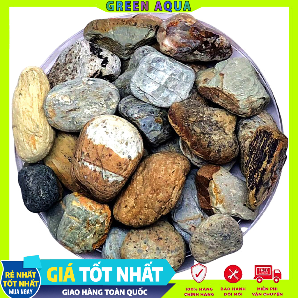FEMOLAY - Natural Stream Sand & Gravel | Cát, sạn, sỏi suối tự nhiên trãi nền trang trí hồ cá thủy sinh