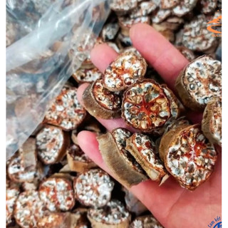 1 Kg Chuốt hột rừng khô ngâm riệu