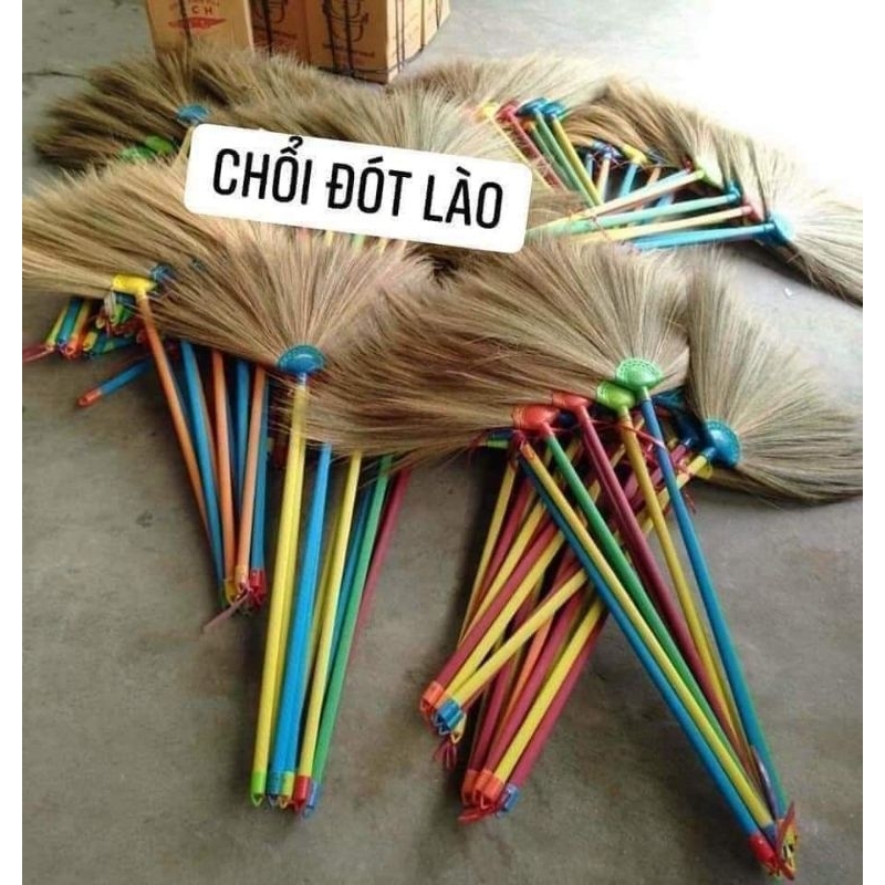 Chổi đót lào