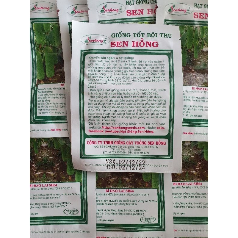Hạt giống Bí Đao Lai SH64   - Sen Hồng