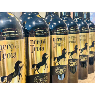 Rượu vang đỏ ý - nero di troia gianmarco 750ml