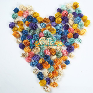 Hoa Khô Set 10 Quả Thông Nhiều Màu Trang Trí Giỏ Quà Phong Cách Châu Âu Decor Chụp Ảnh Hộp Sản Phẩm Sự Kiện