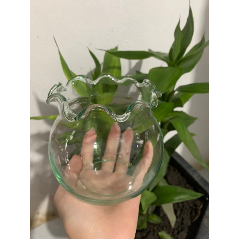 Hồ kính tròn nuôi cá, trồng cây, cắm cây