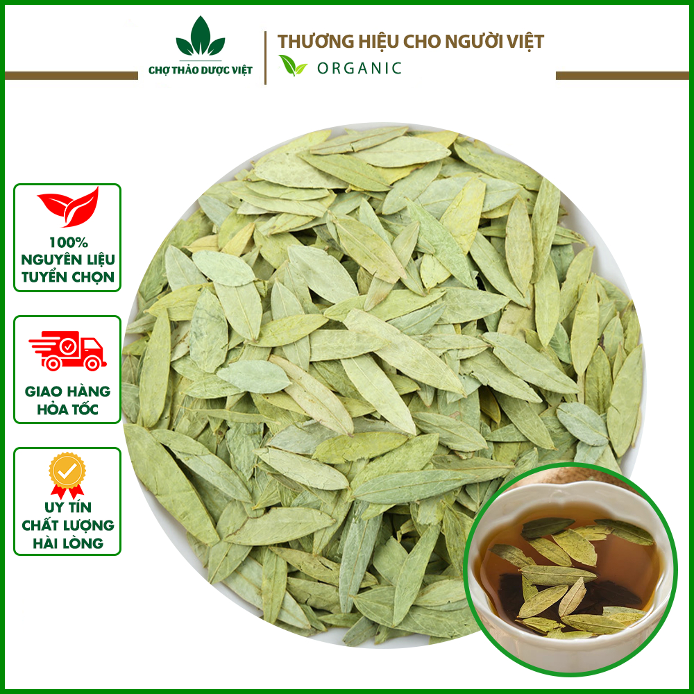 Phan tả diệp 2kg ( Lá phan tả diệp khô, thơm hỗ trợ nhuận tràng, giữ gìn vóc dáng) - Chợ Thảo Dược Việt