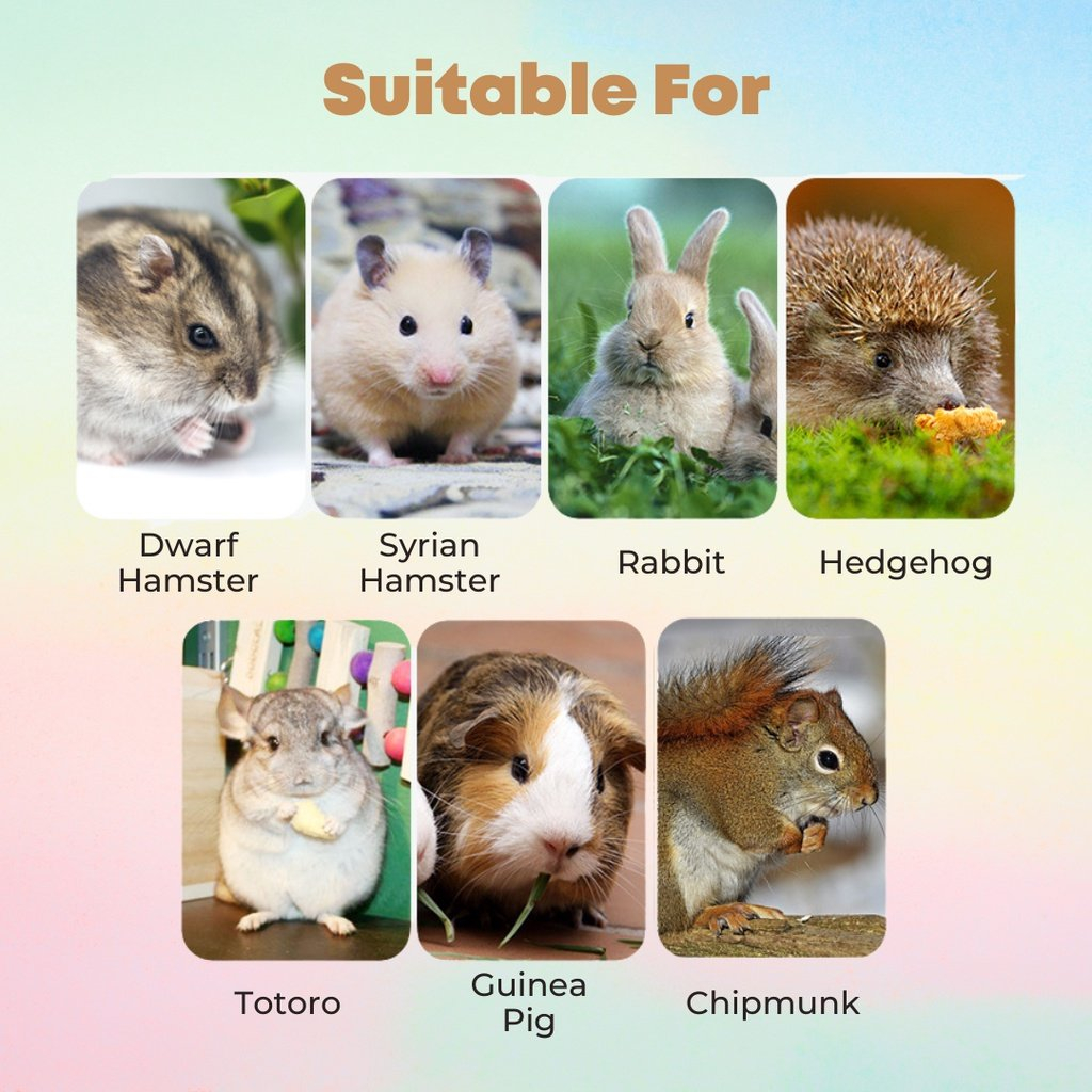 Tổng hợp mùn hãng tốt lót chuồng cho Hamster và thú cưng nhỏ