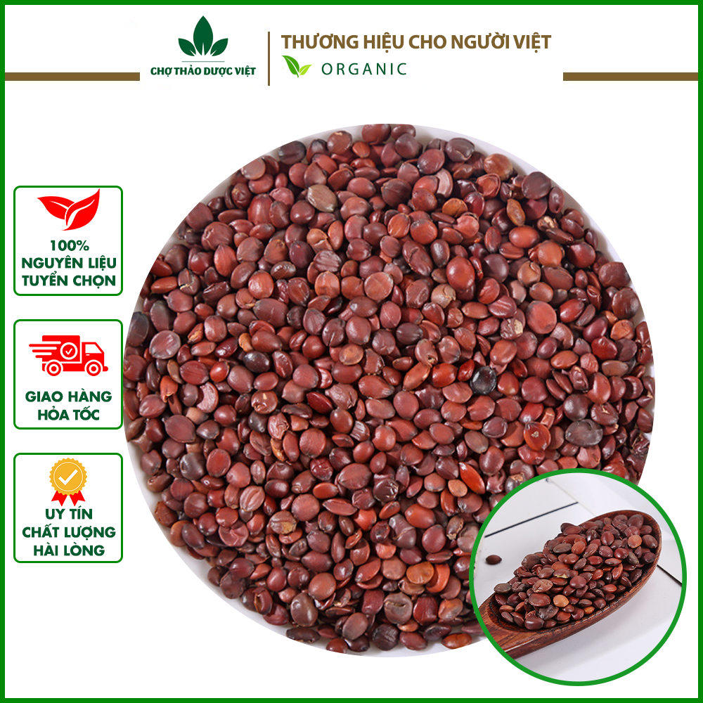100g Táo Nhân (Đã Làm Sạch, Sao Thơm)