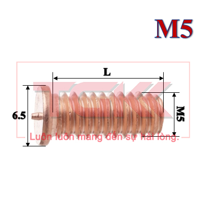 Bulong hàn tiếp địa đồng M5