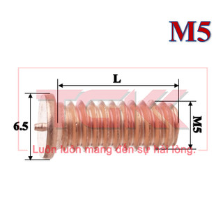 Bulong hàn tiếp địa đồng M5