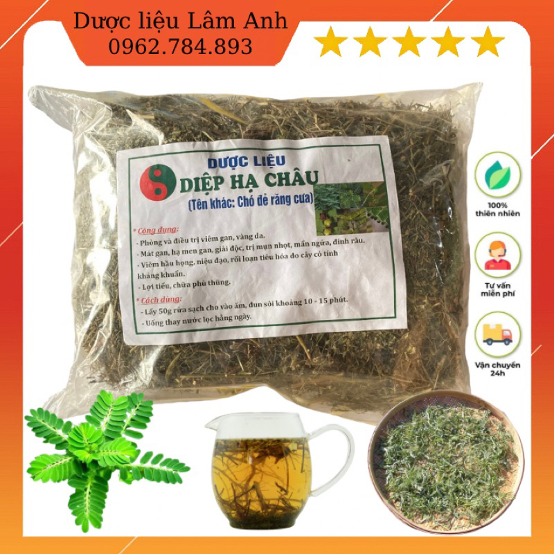 1Kg Diệp Hạ Châu  hỗ trợ men gan, mát gan, viêm gan B,C