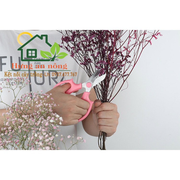 Kéo Mũi Bầu - KNMBAU - Kéo mũi bầu nút nhựa, nút sắt, làm vườn cắt hoa trái tỉa cành có nhiều màu có hộp đựng