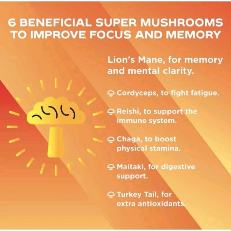 Viên Lion's Mane Nấm Hầu Thủ 6 Trong 1, Tăng Cường Trí Nhớ, Ngừa Alzheimer, Trẻ Hóa Vital vitamins
