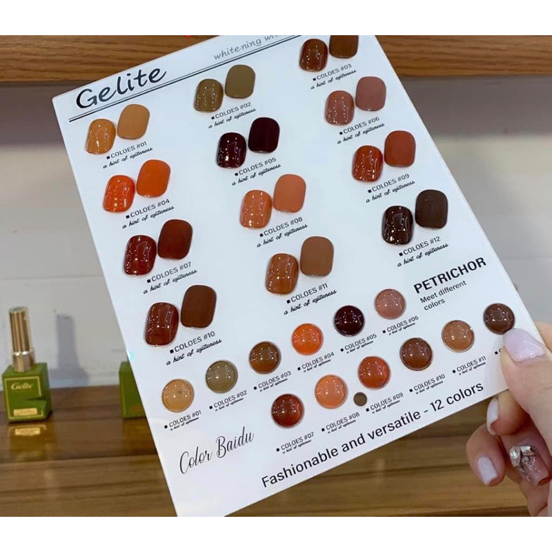 Sét sơn gel 12 màu tông nâu