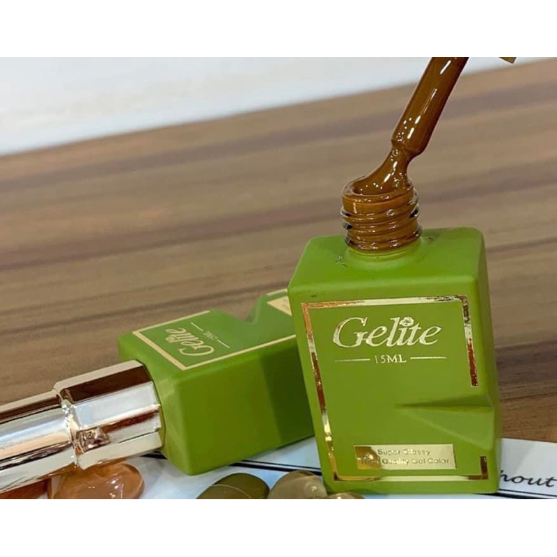 Sét sơn gel 12 màu tông nâu