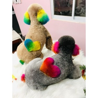 Màu nhuộm lông chính hãng cho chó mèo an toàn cho da và lông. Kèm bao tay và cọ lược chải quét màu.