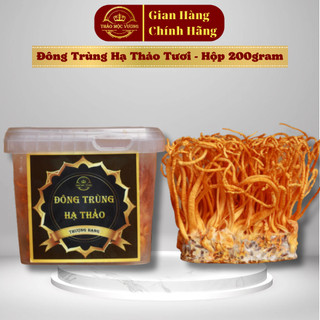 Đông Trùng Hạ Thảo Tươi Thảo Mộc Vương Loại Thượng Hạng 200gr ( Combo 4 hộp tặng táo đỏ kỉ tử )