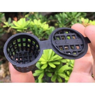 100 cái rọ đựng phân tan chậm