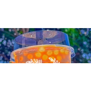 50 Ly Bầu PP 360ml