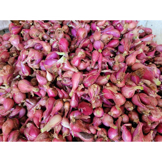 Combo hành Tỏi Lý Sơn (1kg hành + 1kg tỏi)