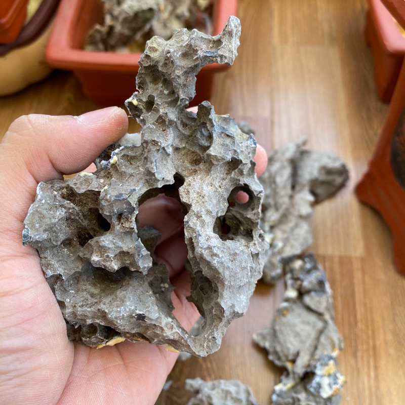Đá Tai Mèo 1Kg Size 4 viên trang trí tiểu cảnh,bể cá,ghép đá bonsai ,Bonsai Handmade 17, Bonsai mini để bàn,bonsai