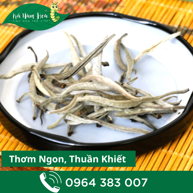 Bạch Trà Shan Tuyết Cổ Thụ Tây Côn Lĩnh Hà GIang