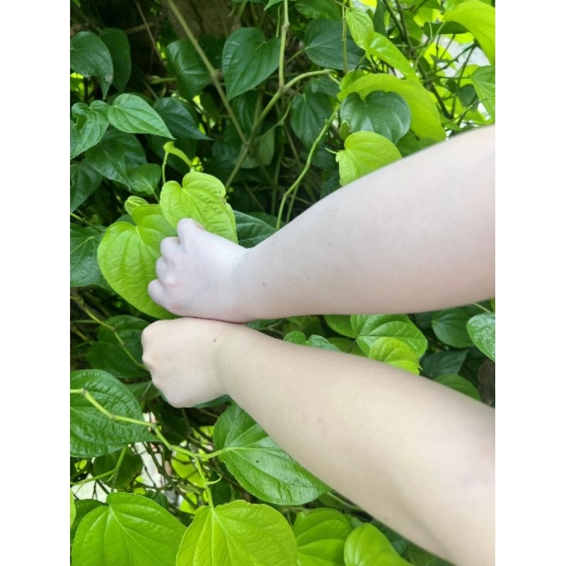 Tắm Trắng Body Siêu Trắng