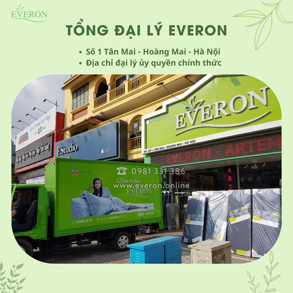 Đệm bông ép Everon 4.0