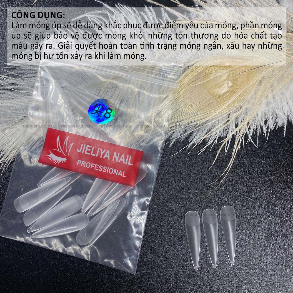 Móng úp lẻ size - Phom móng thang và nhọn dài - Móng giả làm nail chuẩn form - Móng lẻ số 6,7,8 ôm phom