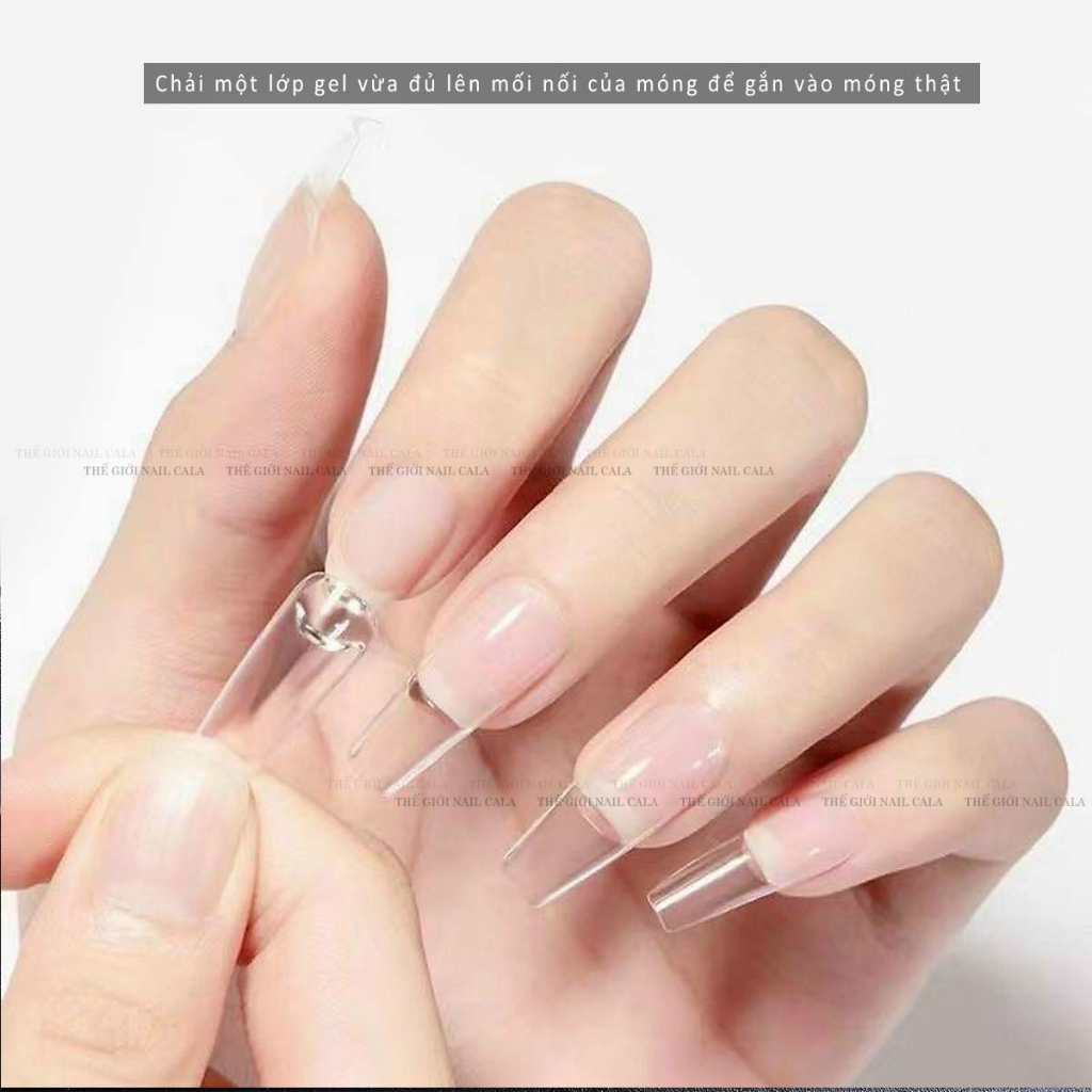 Móng úp lẻ size - Phom móng thang và nhọn dài - Móng giả làm nail chuẩn form - Móng lẻ số 6,7,8 ôm phom