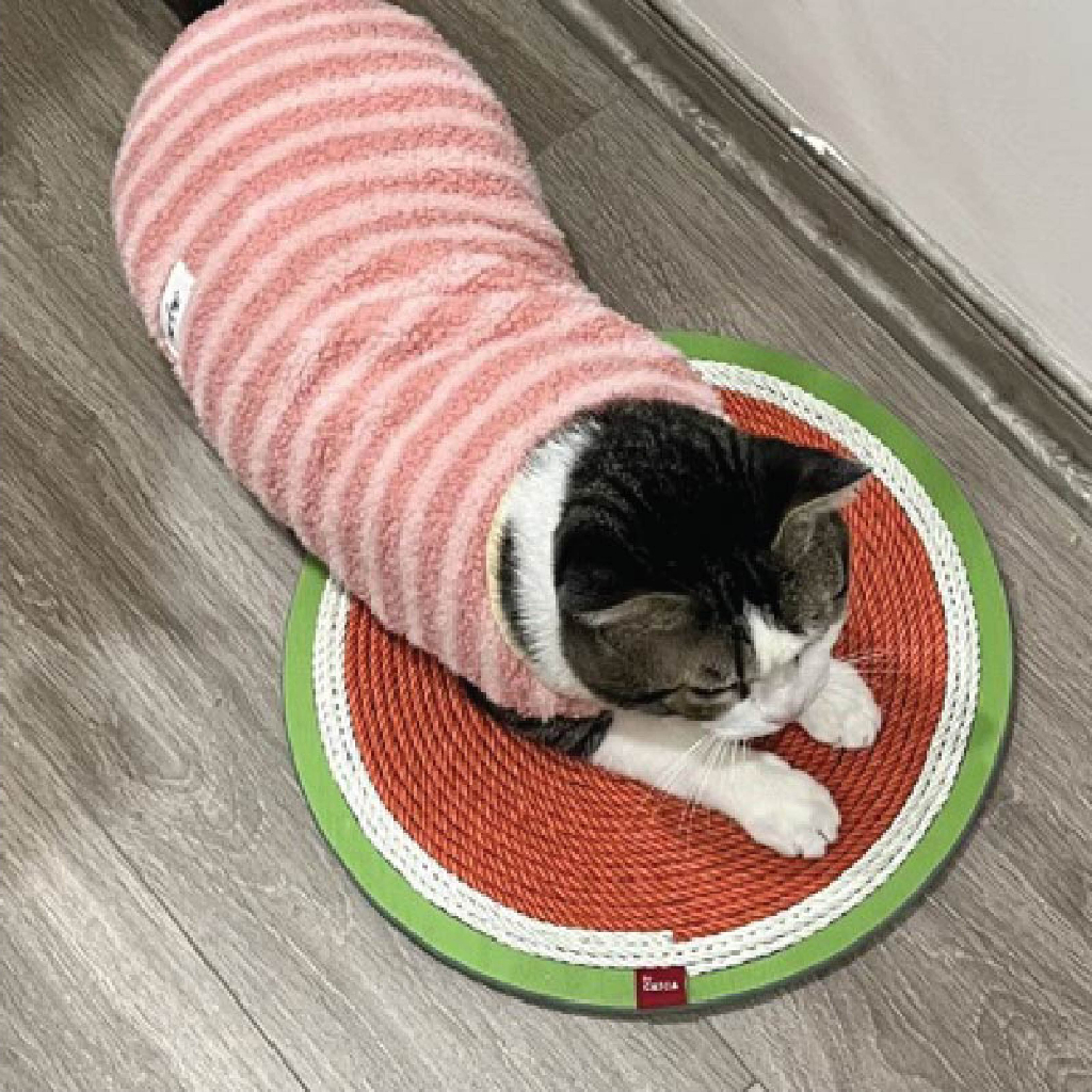 Bàn cào móng cho mèo thừng tái sinh siêu bền sạch nhà - BCM Dưa hấu  39*39 cm