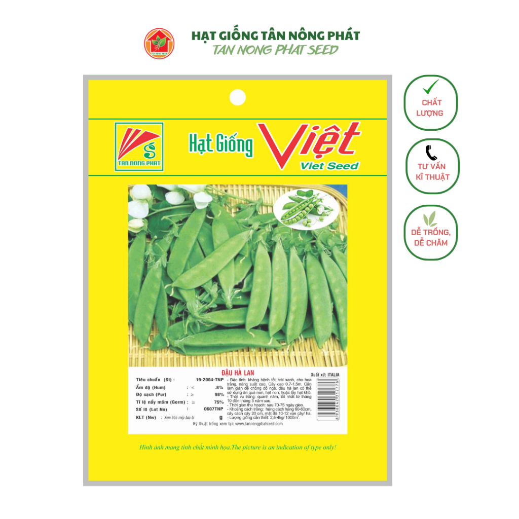 Hạt giống Đậu Hà Lan_Gói 5GR