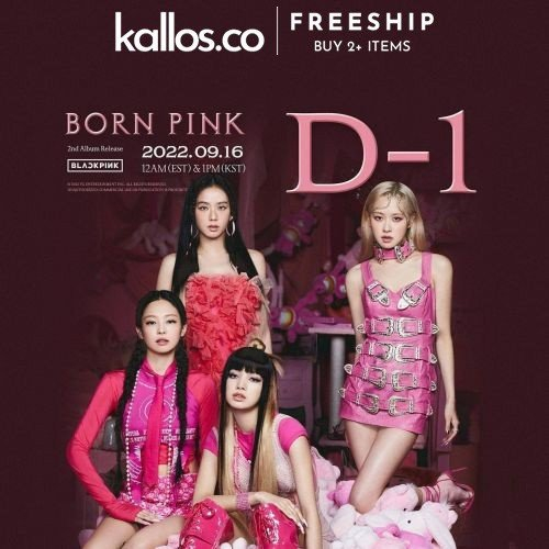 Hình Sticker Dán BLACKPINK Jisoo, Jennie, Lisa, Rose Born Pink - Kallos Vietnam