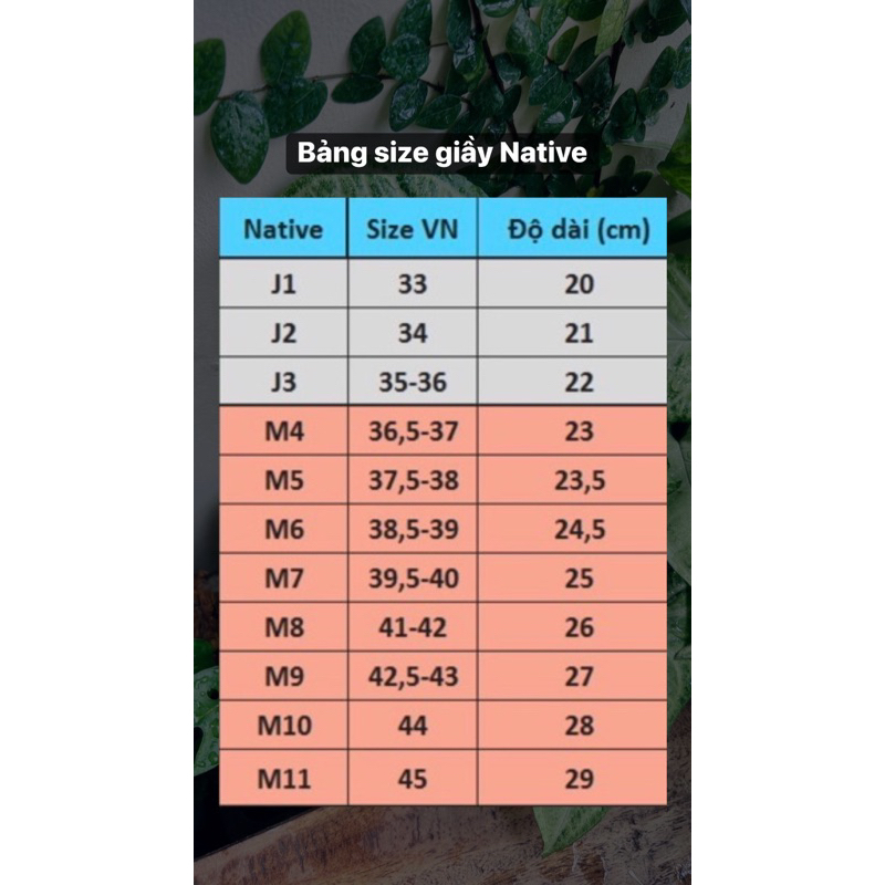 Giầy đi mưa Young Mind