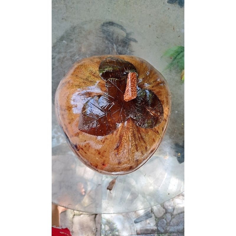 Combo quả dừa giữ nhiệt bình trà có đế, sơn bóng kèm ấm trà một lít, viết chữ thư pháp