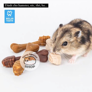 Bàn chải mài răng - làm sạch răng Jonsanty dành cho hamster, sóc, thỏ, bọ…