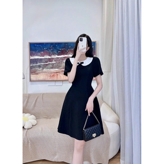 Váy đen cổ sen trắng nơ đen
