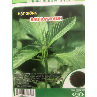 Hạt giống rau đay xanh ☘️ Gói 20 gr
