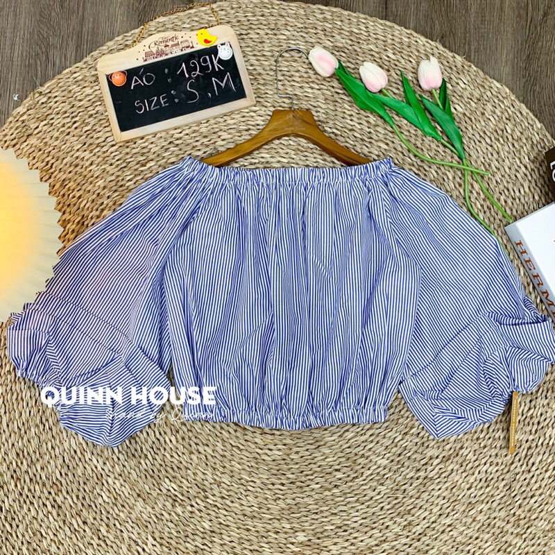 Áo kiểu - corotop