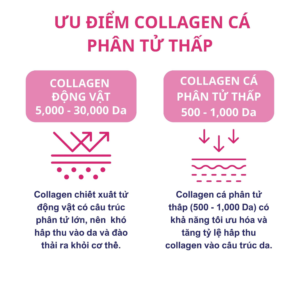 Combo 10 gói Bột Uống Ban Đêm BB LAB Low Molecular Collagen Bổ Sung Collagen Sáng Da Căng Bóng, Chậm Lão Hóa