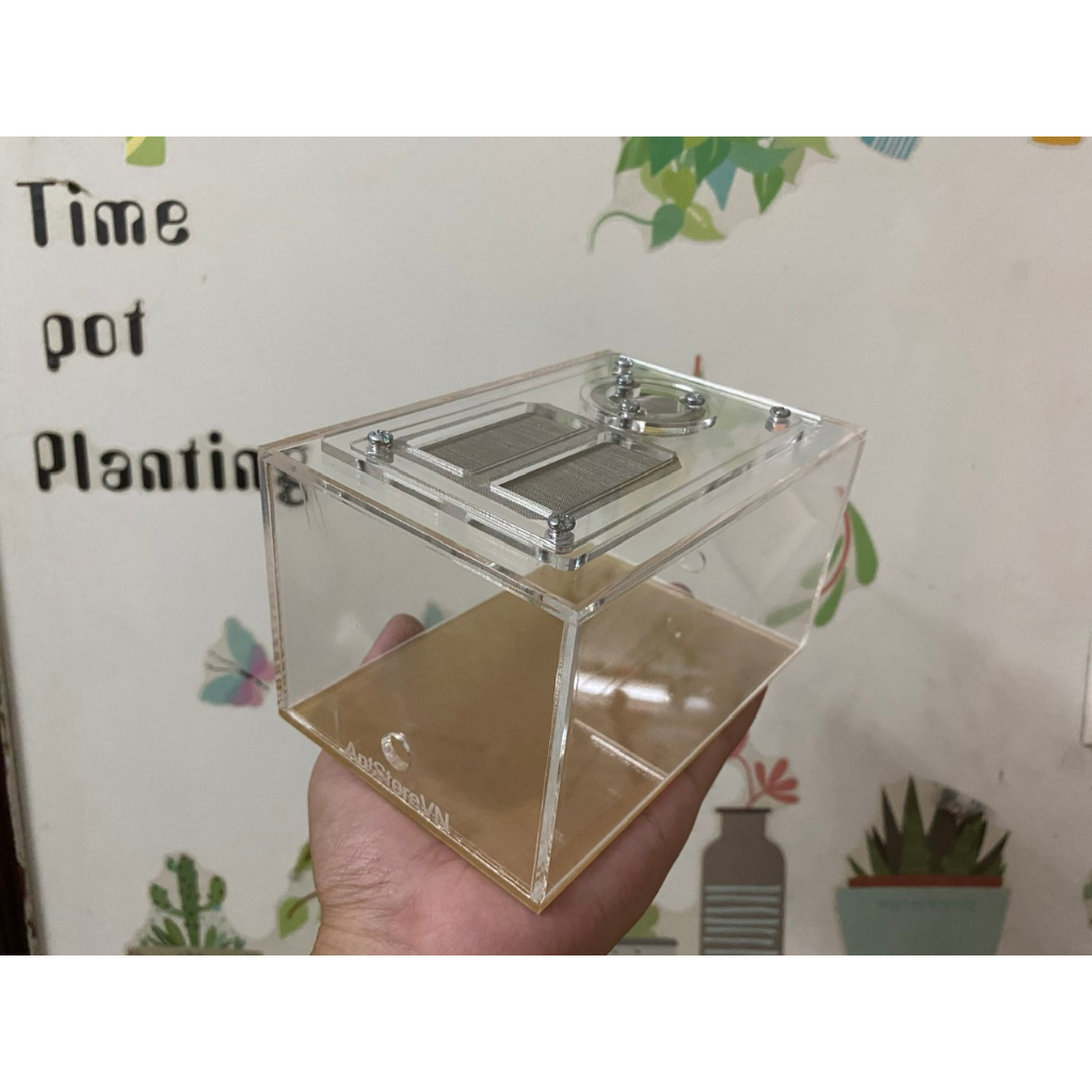 Tank Kiến , OutWorld Tank Kiến , Ổ Kiến, Khu Vực Bên Ngoài, Formicarium 15x10x8 cm