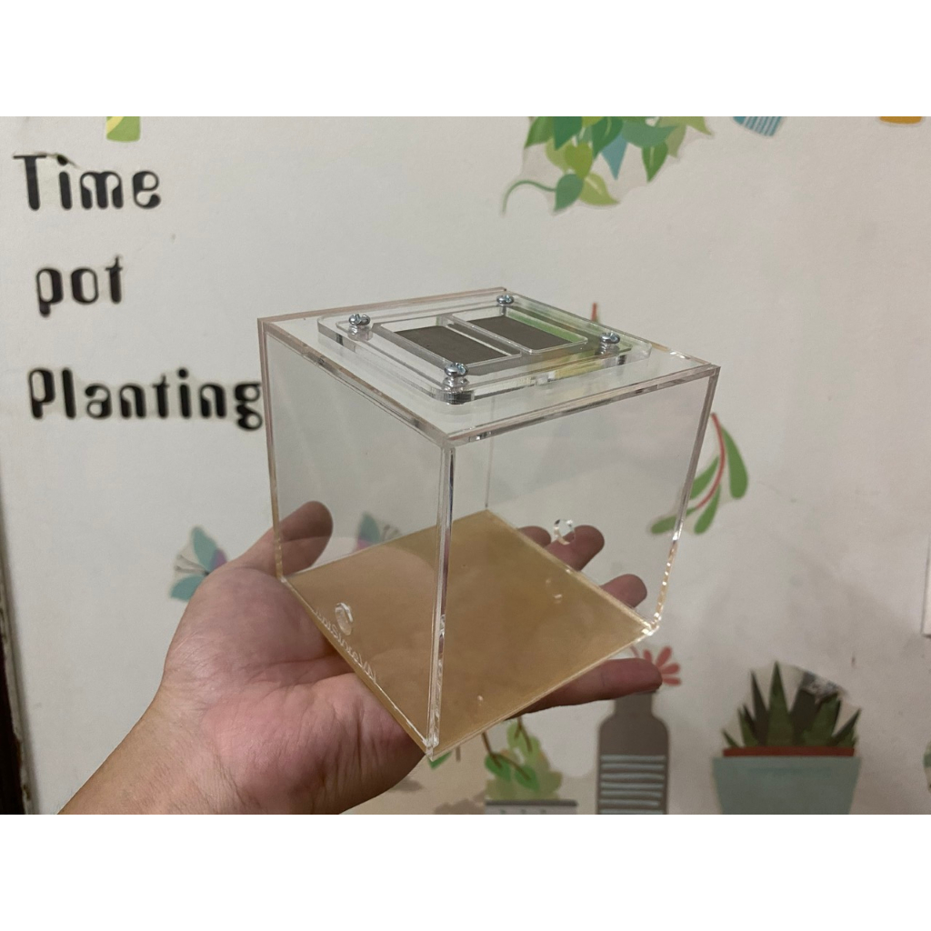 Tank Kiến , OutWorld Tank Kiến , Ổ Kiến, Khu Vực Bên Ngoài, Formicarium 10x10x10 cm